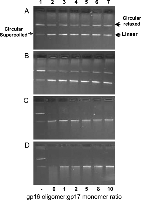 FIGURE 9.