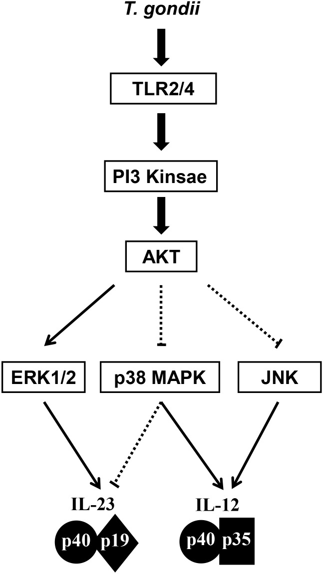 Fig 9