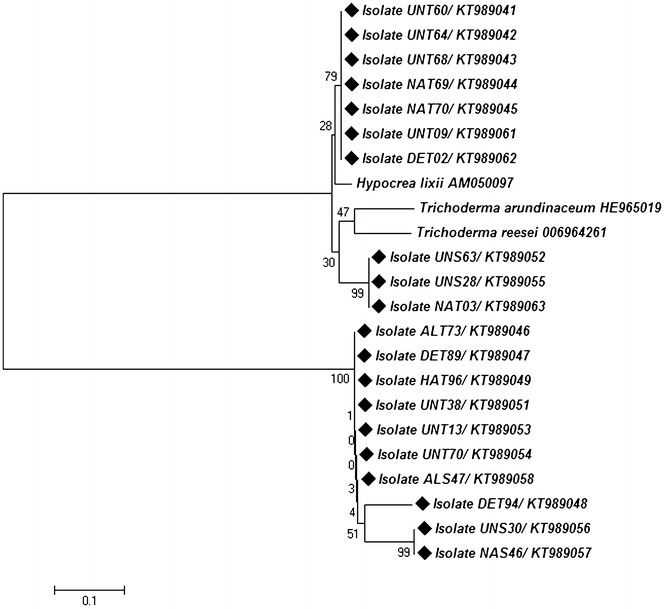 Fig. 8