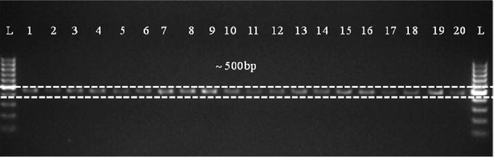 Fig. 7