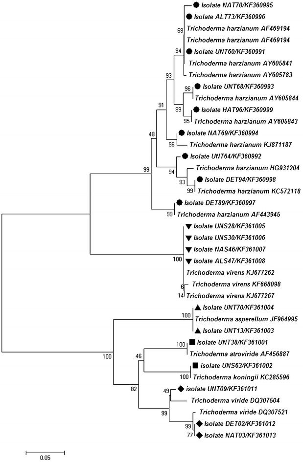 Fig. 2