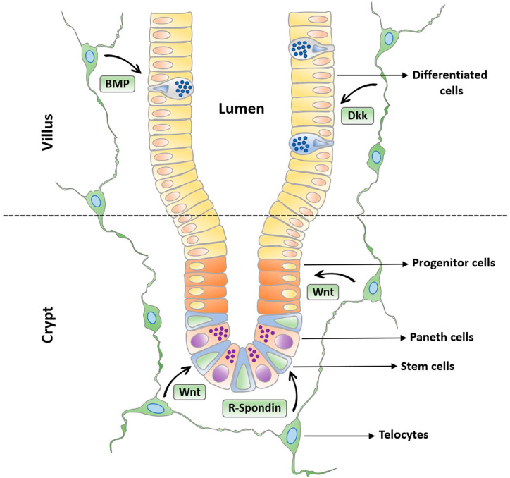 Figure 3.