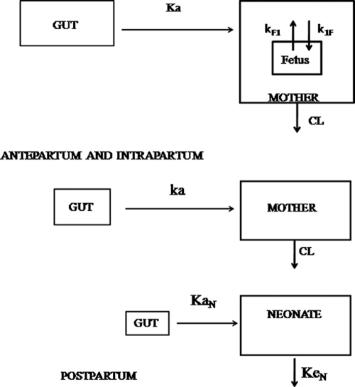 FIG. 1.