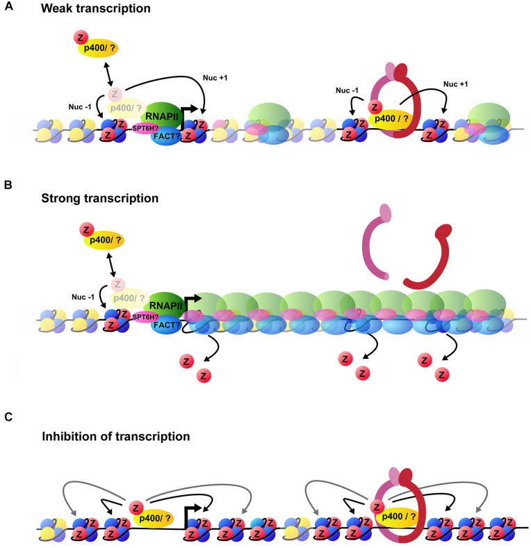 Figure 4.