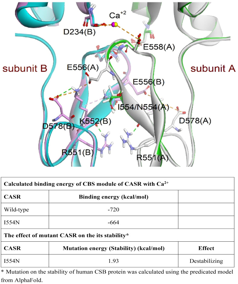 Figure 2