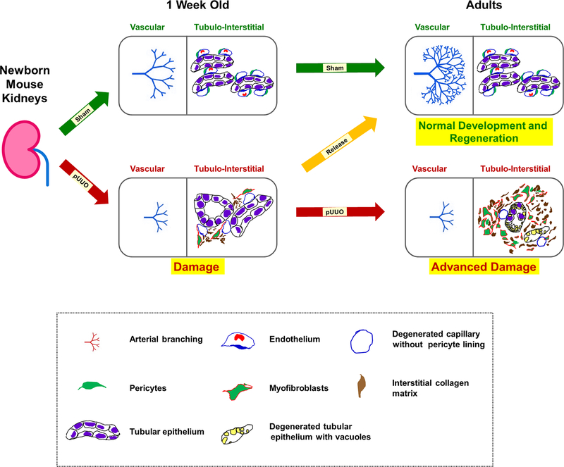 Figure 15.