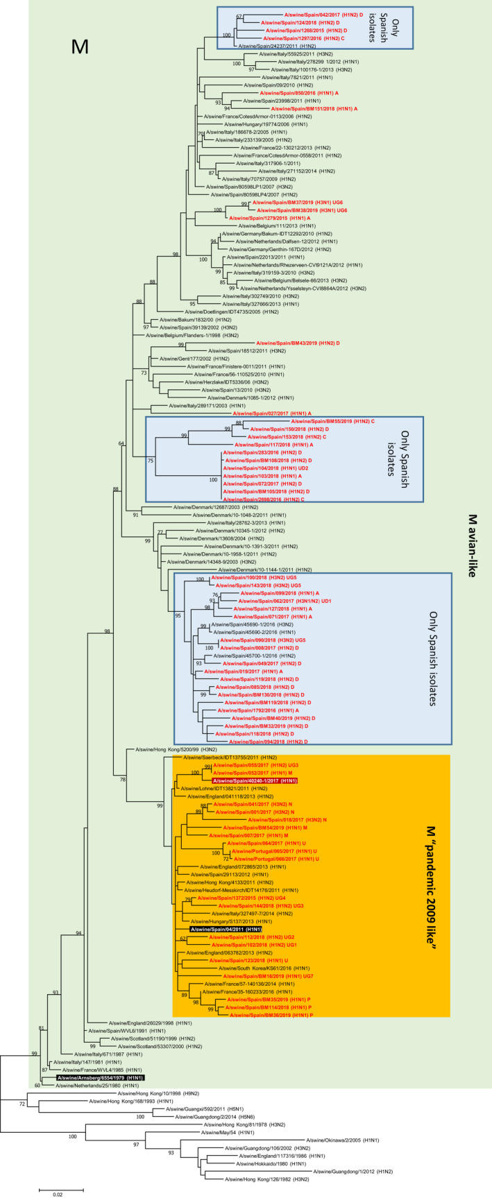 FIGURE 5