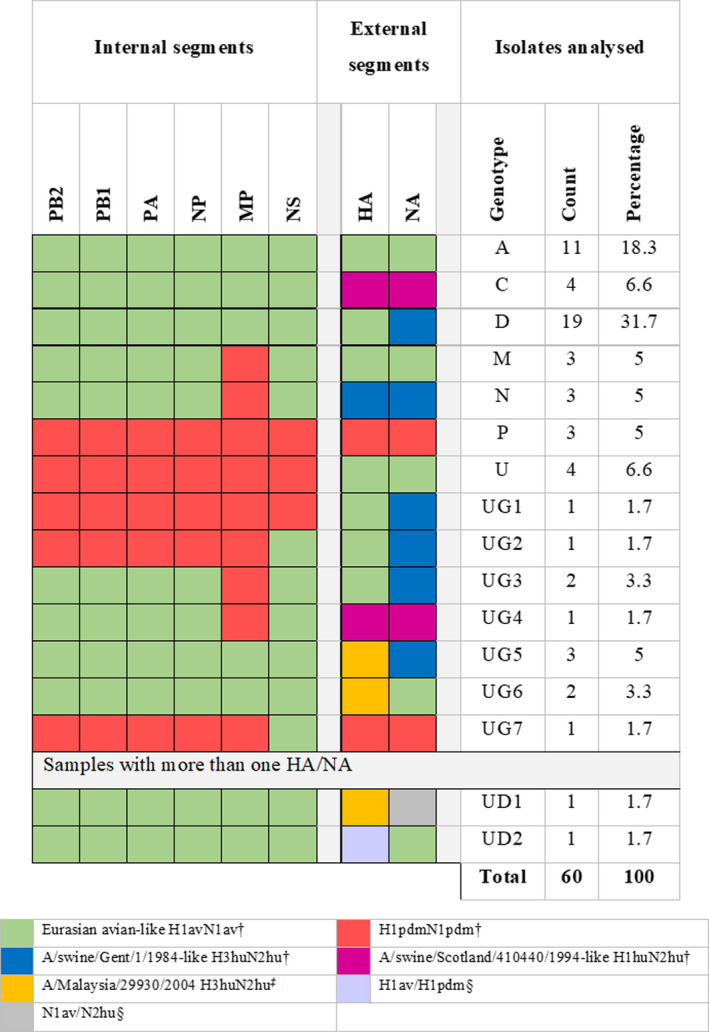 FIGURE 2