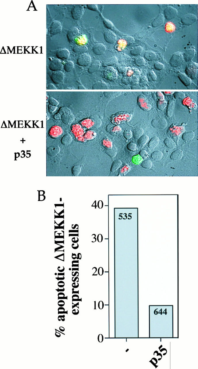 FIG. 10