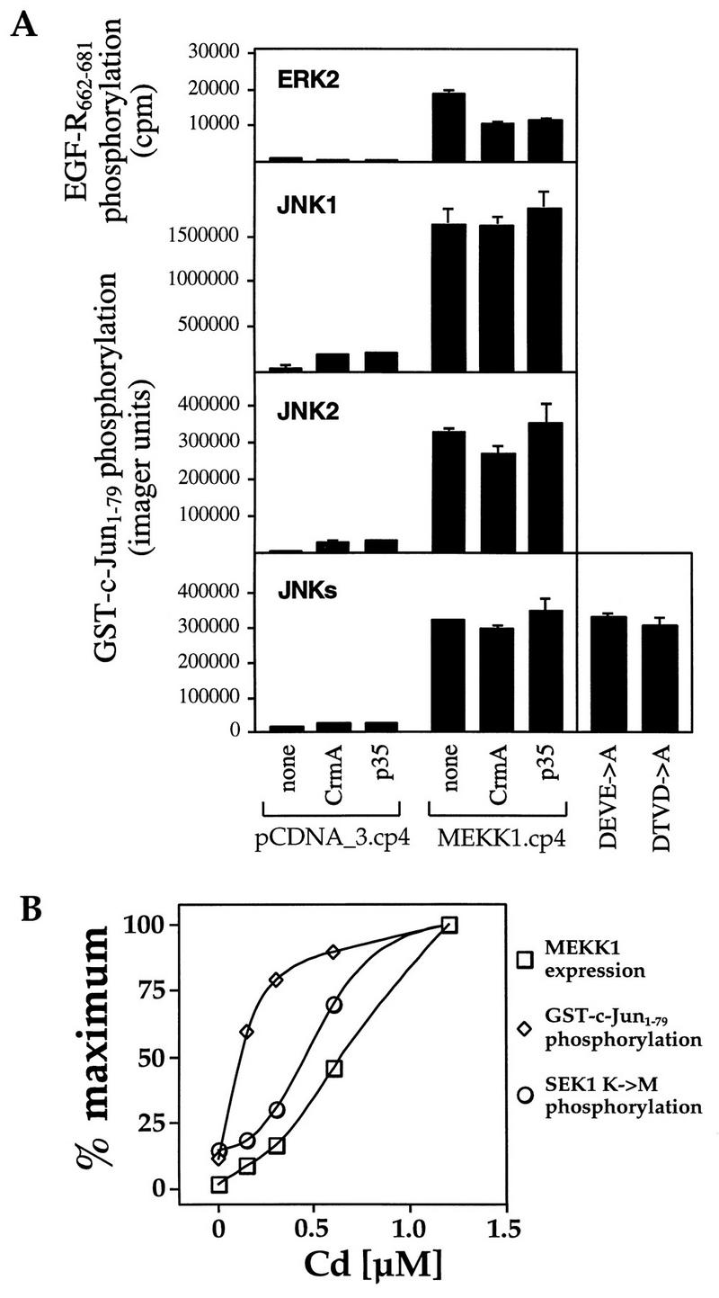 FIG. 11