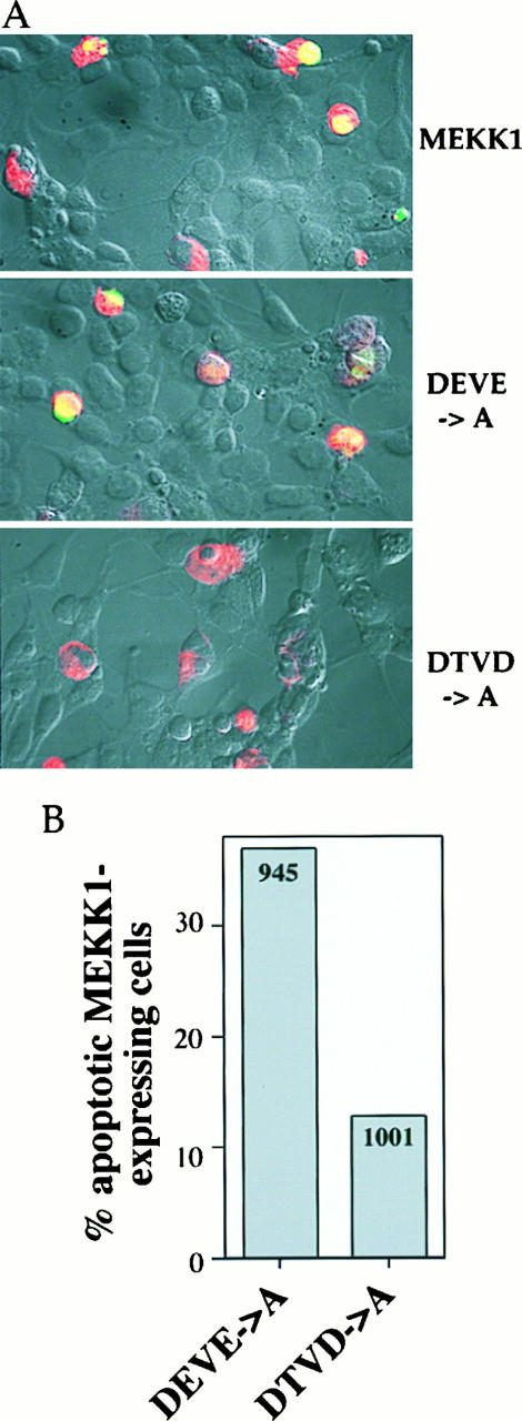 FIG. 9