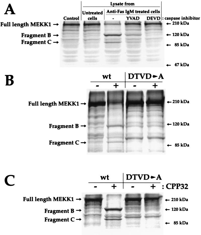 FIG. 8