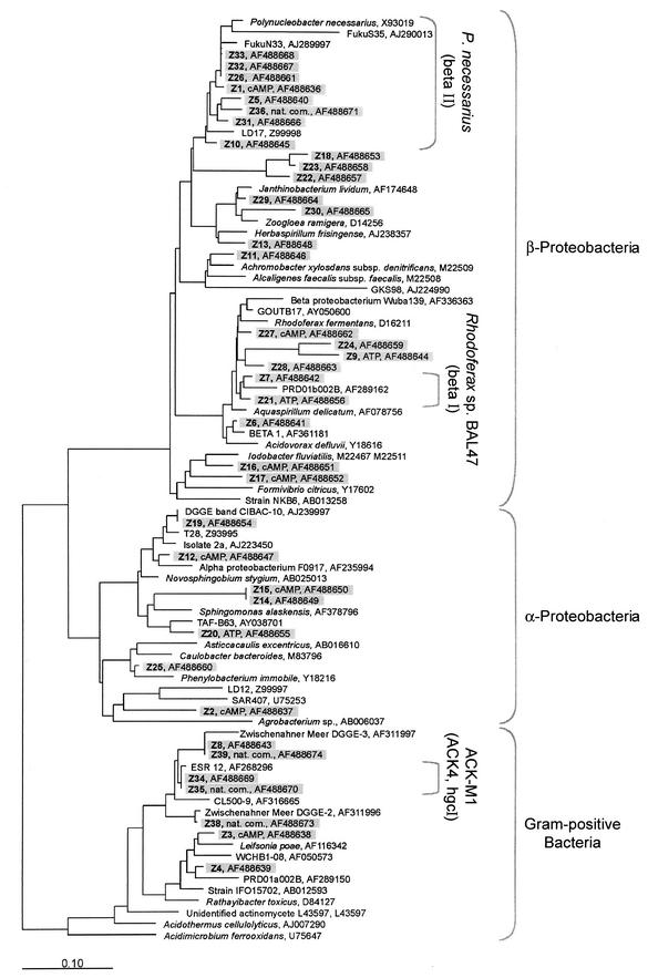 FIG.5.