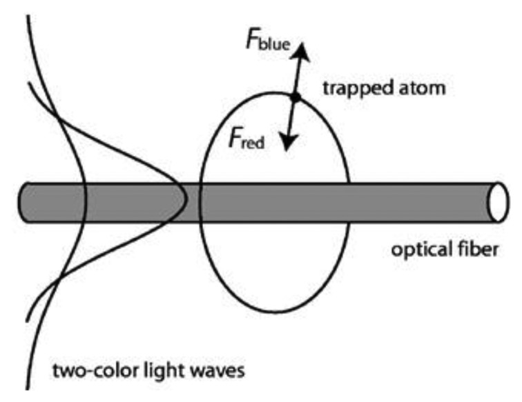 Figure 11.