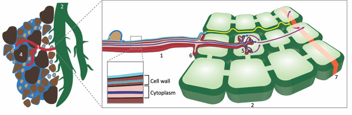 Fig. 4