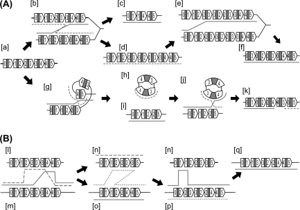 FIG. 7.—