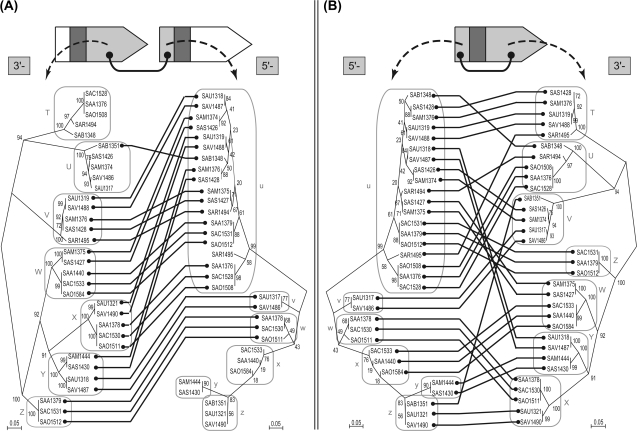 FIG. 9.—