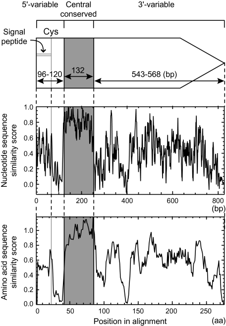 FIG. 2.—