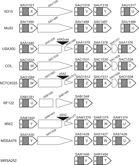 FIG. 10.—