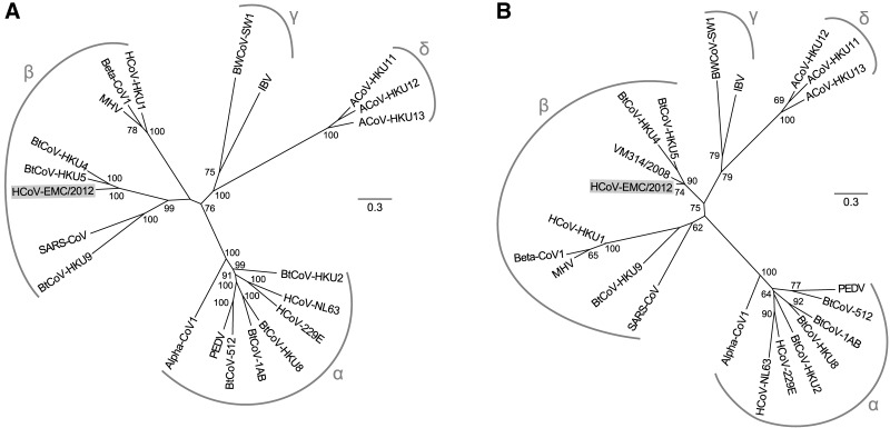 FIG 2