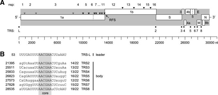 FIG 1