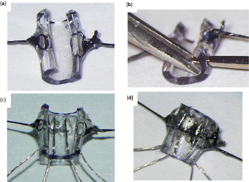 Figure 10.