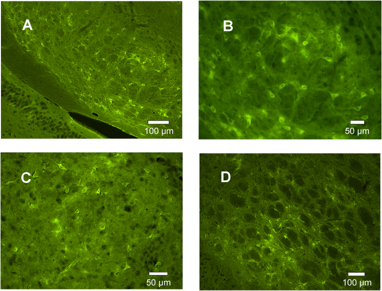 Figure 3