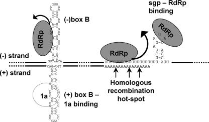 FIG. 6.