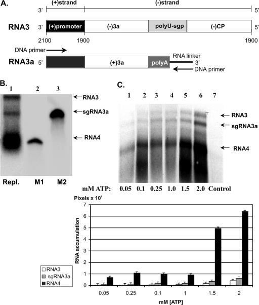 FIG. 3.