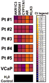 Fig. 7