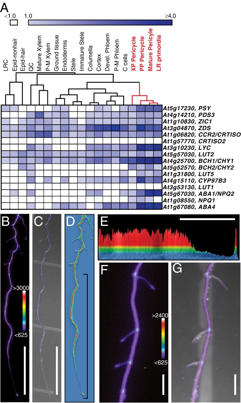 Fig. 3.