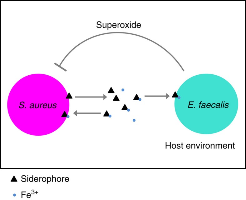 Figure 8