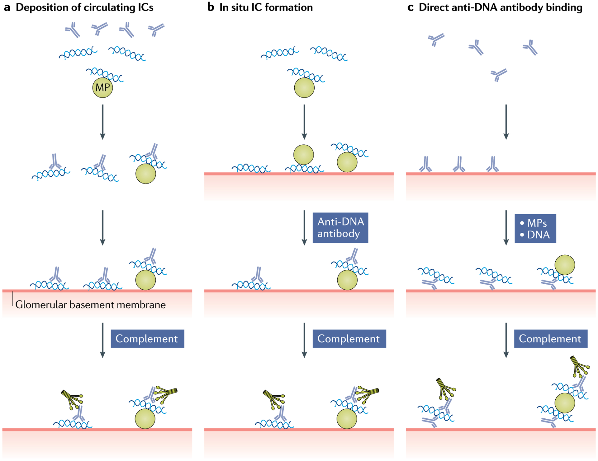 Fig. 2 |