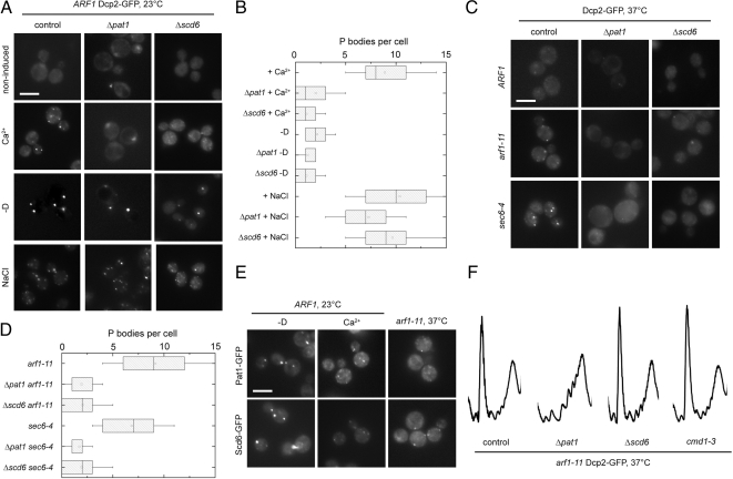 Figure 6.