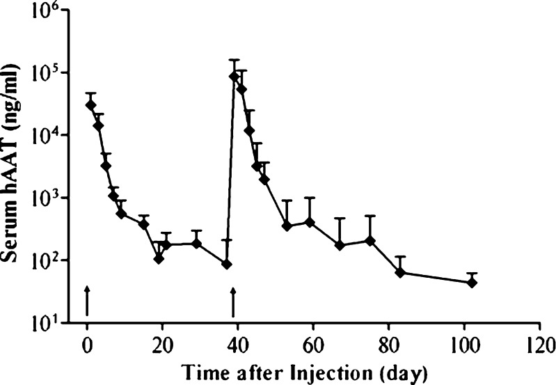 Fig. 6