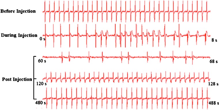 Fig. 3