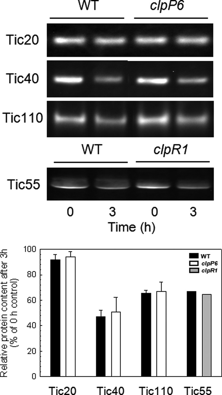 FIGURE 7.