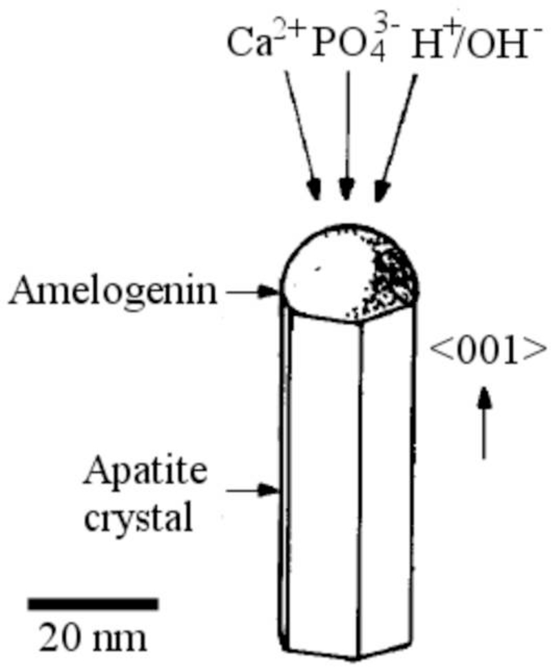 Fig.15.