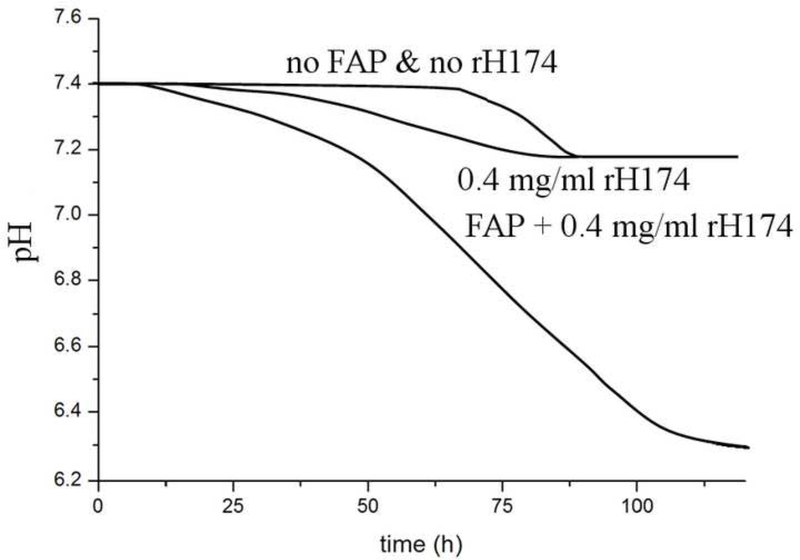 Fig.13.