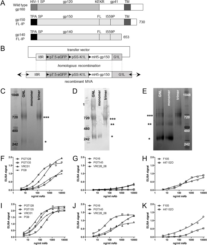 FIG 1