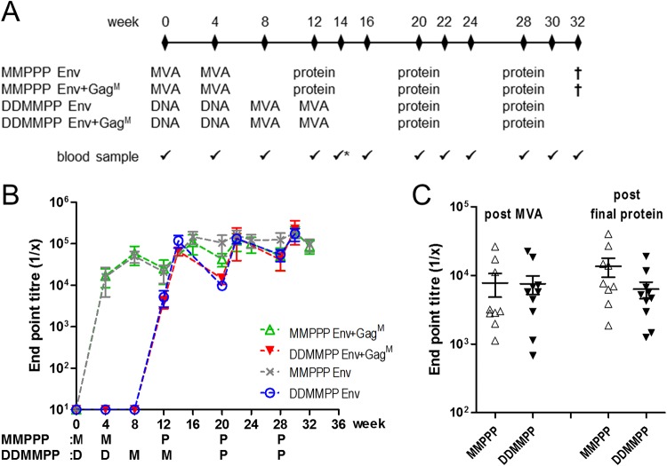 FIG 4