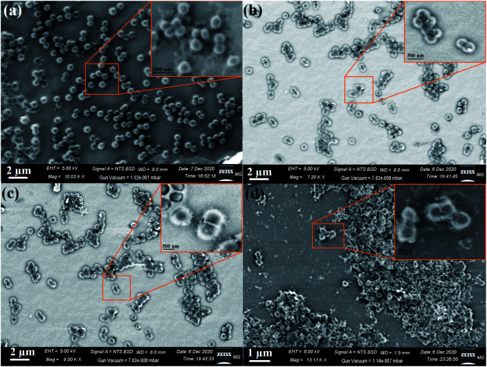 Fig. 13