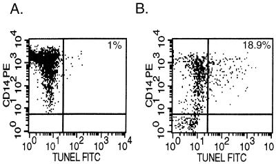 FIG. 8