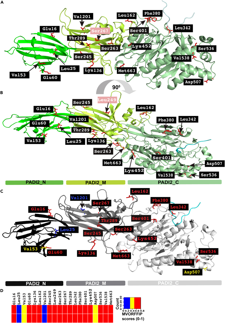 Figure 3