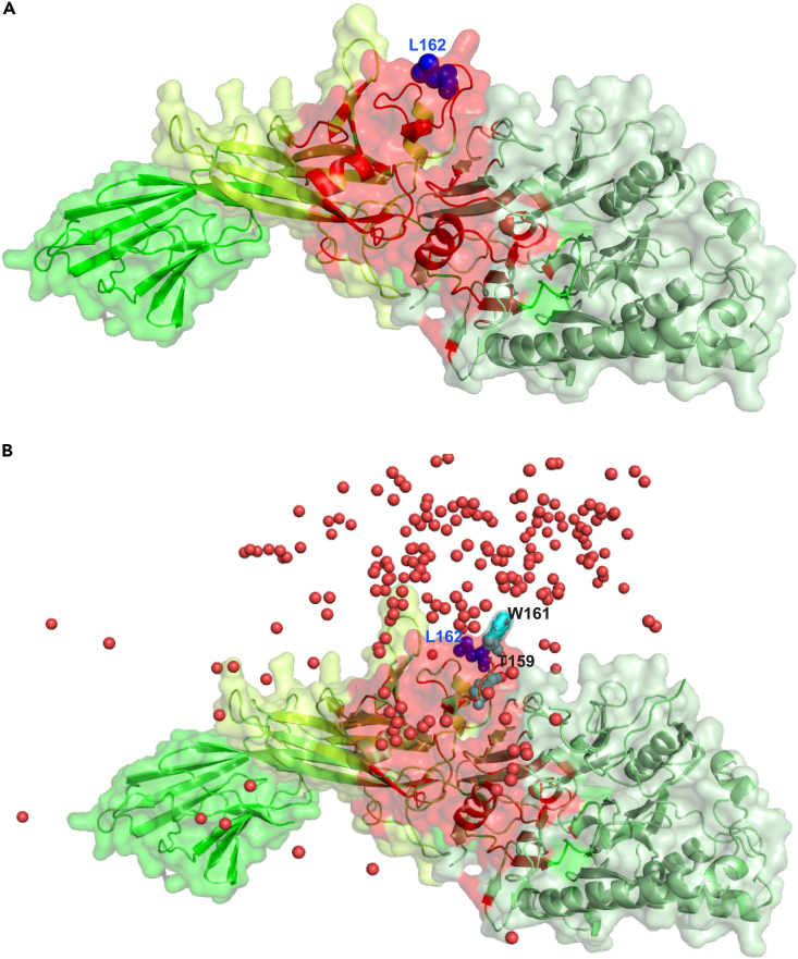 Figure 4