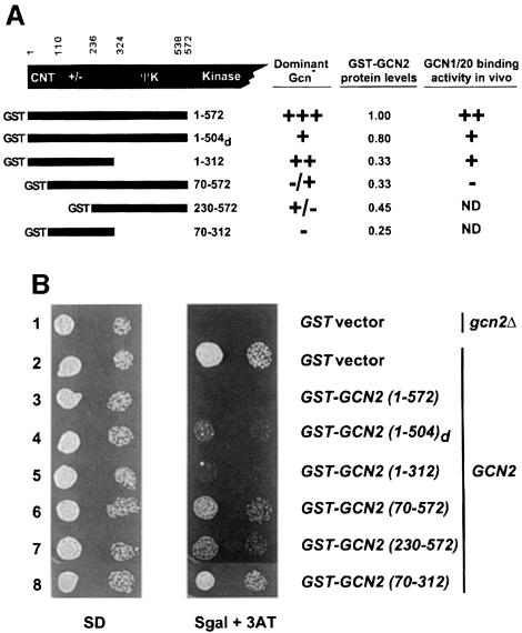 graphic file with name cdd182f5.jpg