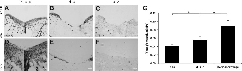 FIG. 5.