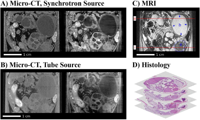 Fig. 9