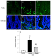 Fig 7