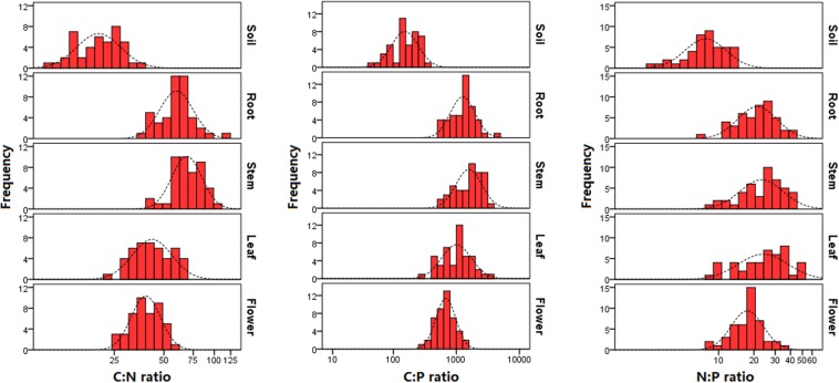 FIGURE 2